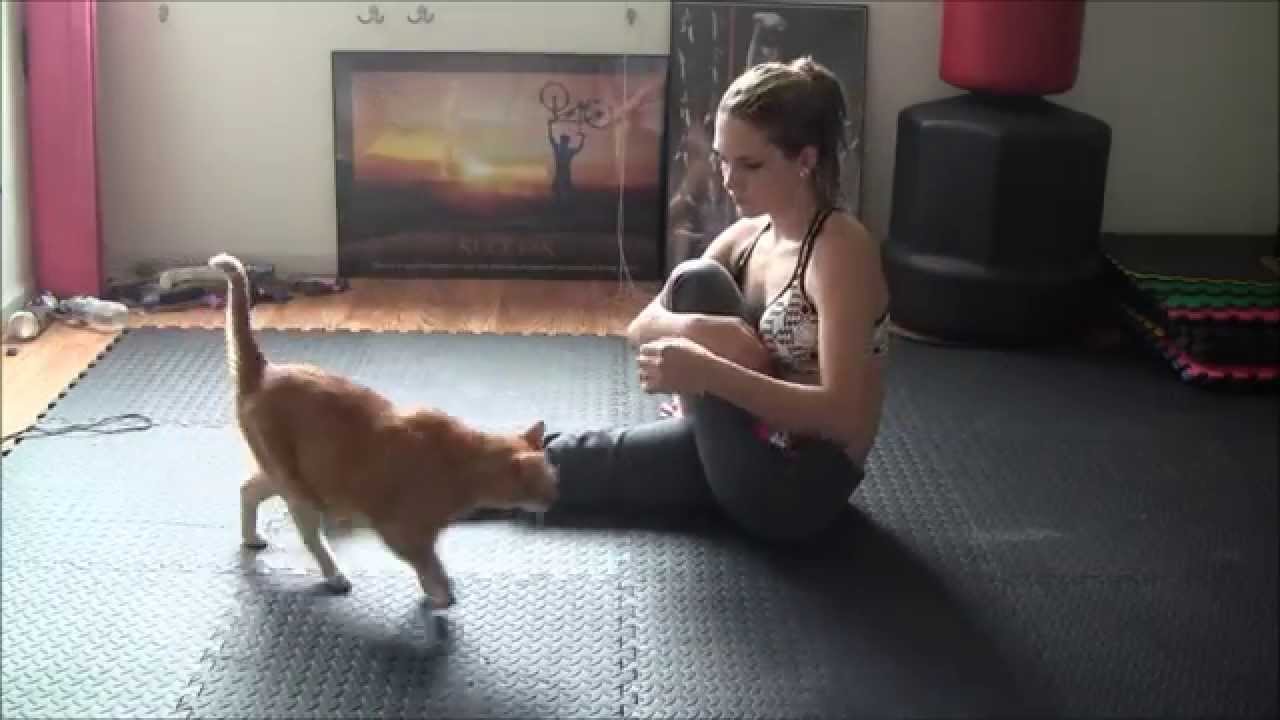 Complete Stretching Routine