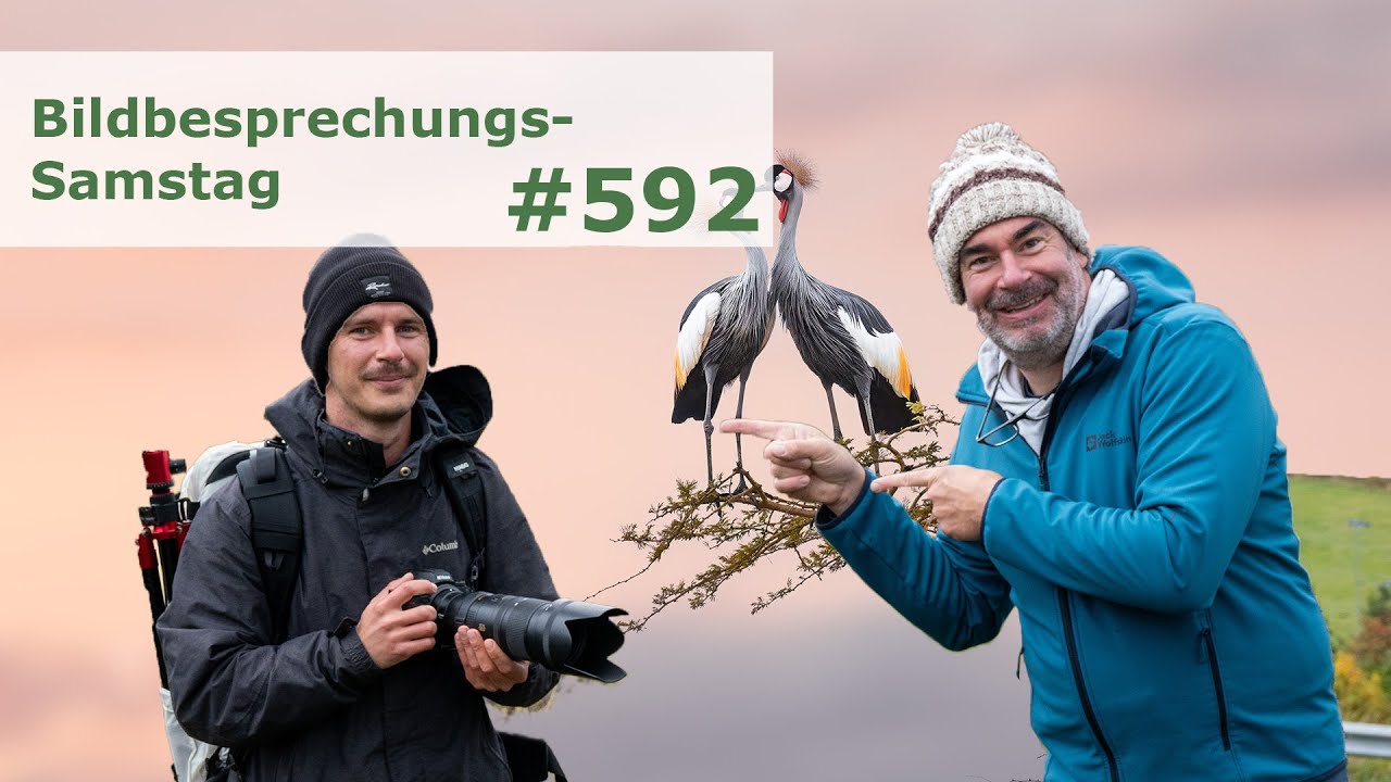 Bildbesprechung 592