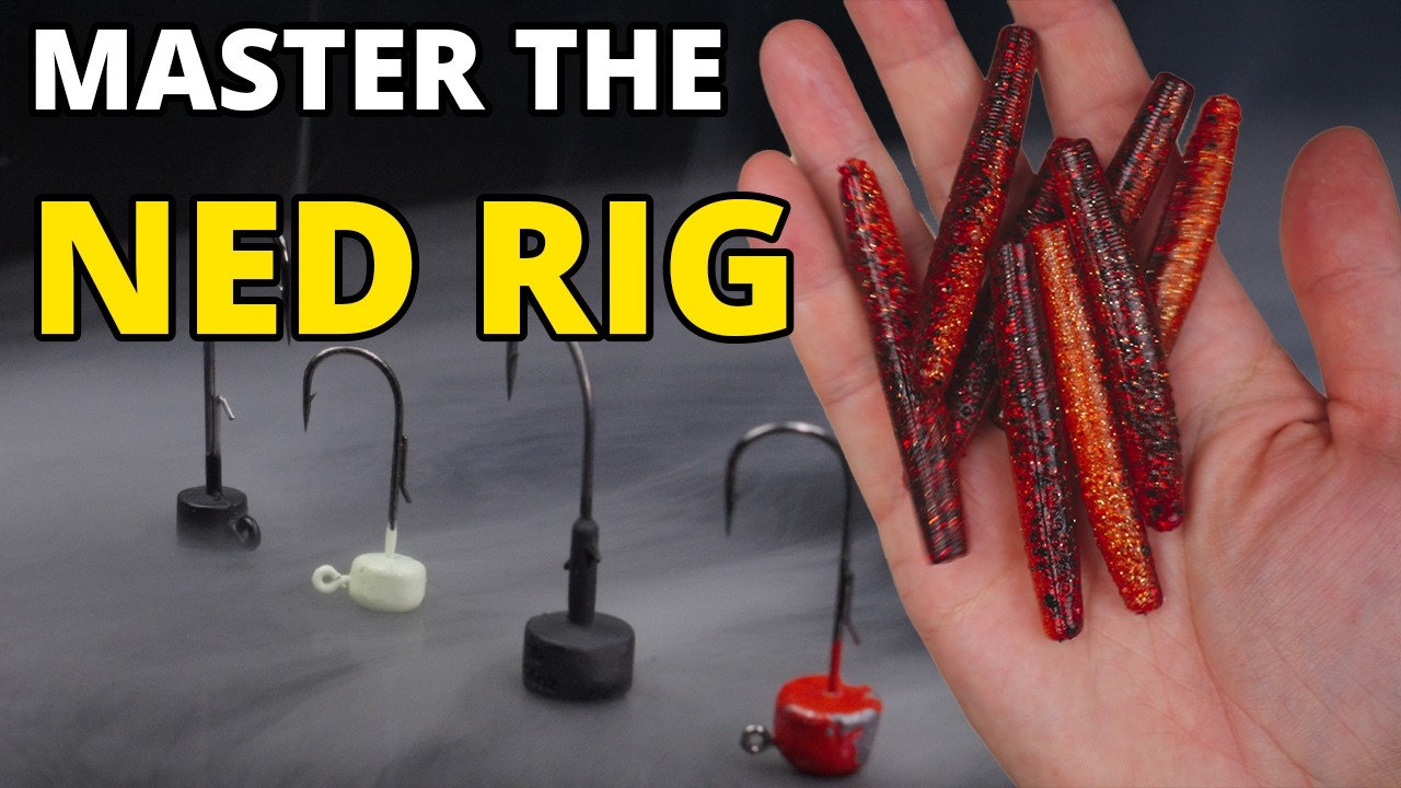 Ned Rig Fishing &ndash; The BEST Method for Tough Fishing Days!