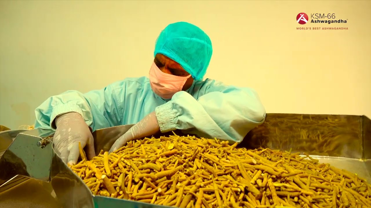 From Roots to Shelf: The Vertical Integration Journey of KSM-66 Ashwagandha
