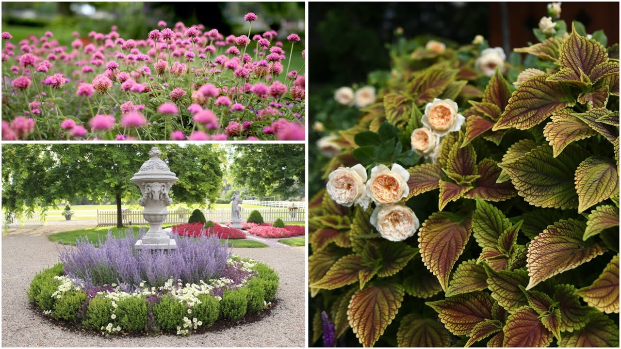 A Look Back At the Plants that Performed This Year Pt 1 🌿// Garden Answer