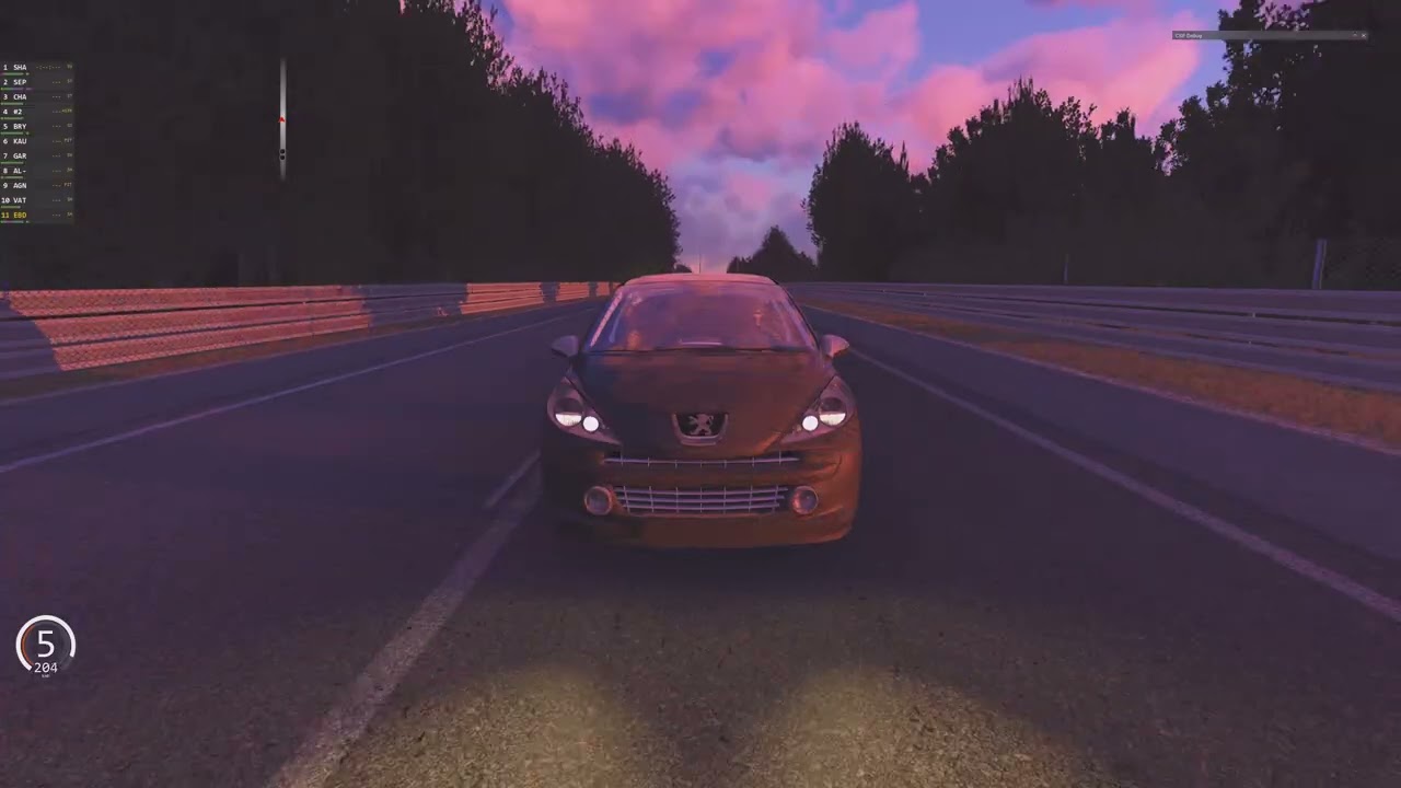 Assetto Corsa, Le Mans,  Peugeot 207 RC '07 172 BHP   240 N\M  1319 Kg