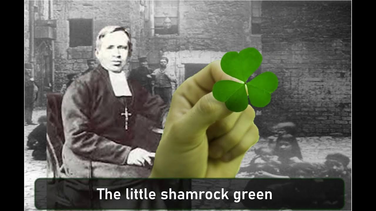 The Field of Dreams - The Blarney Pilgrims (with Lyrics)