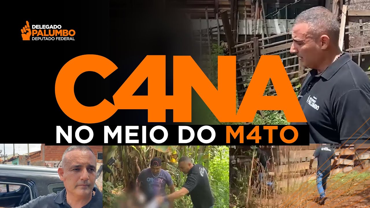 O V4G4BUND0 tentou correr mas