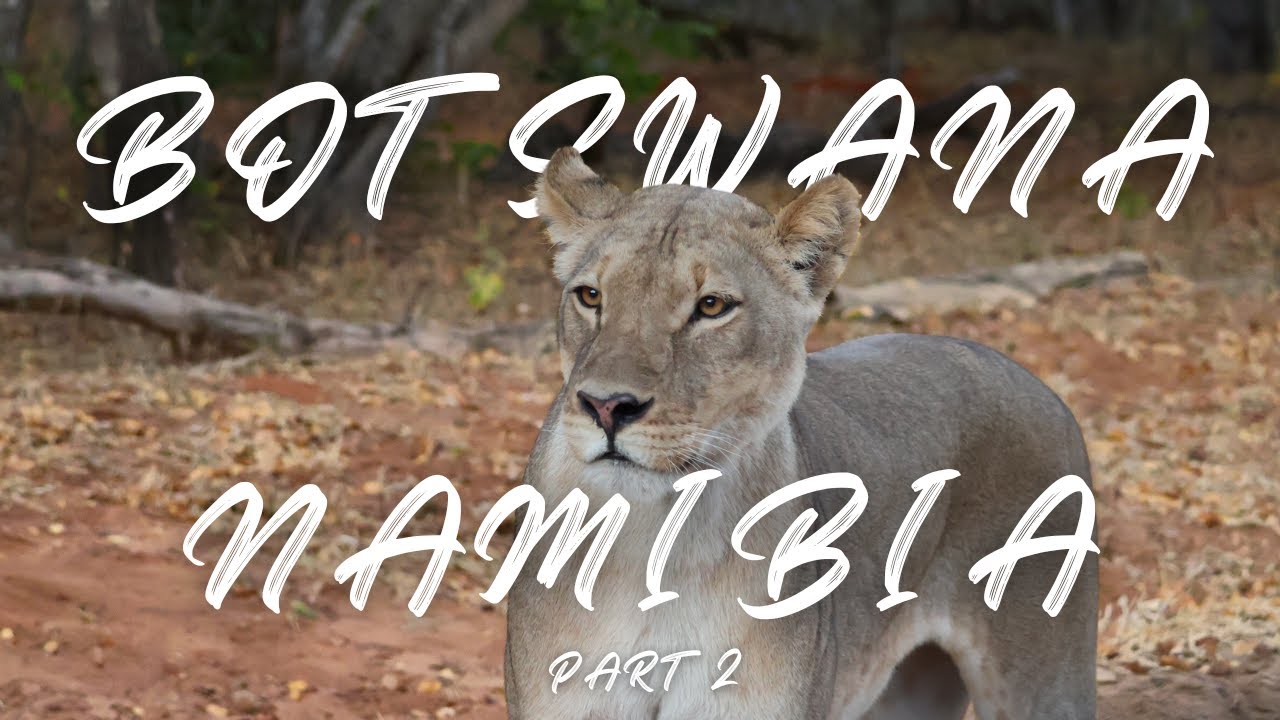Botswana - Namibia Road Trip 2024| Part 2| Kubu Island - Nata - Chobe National Park