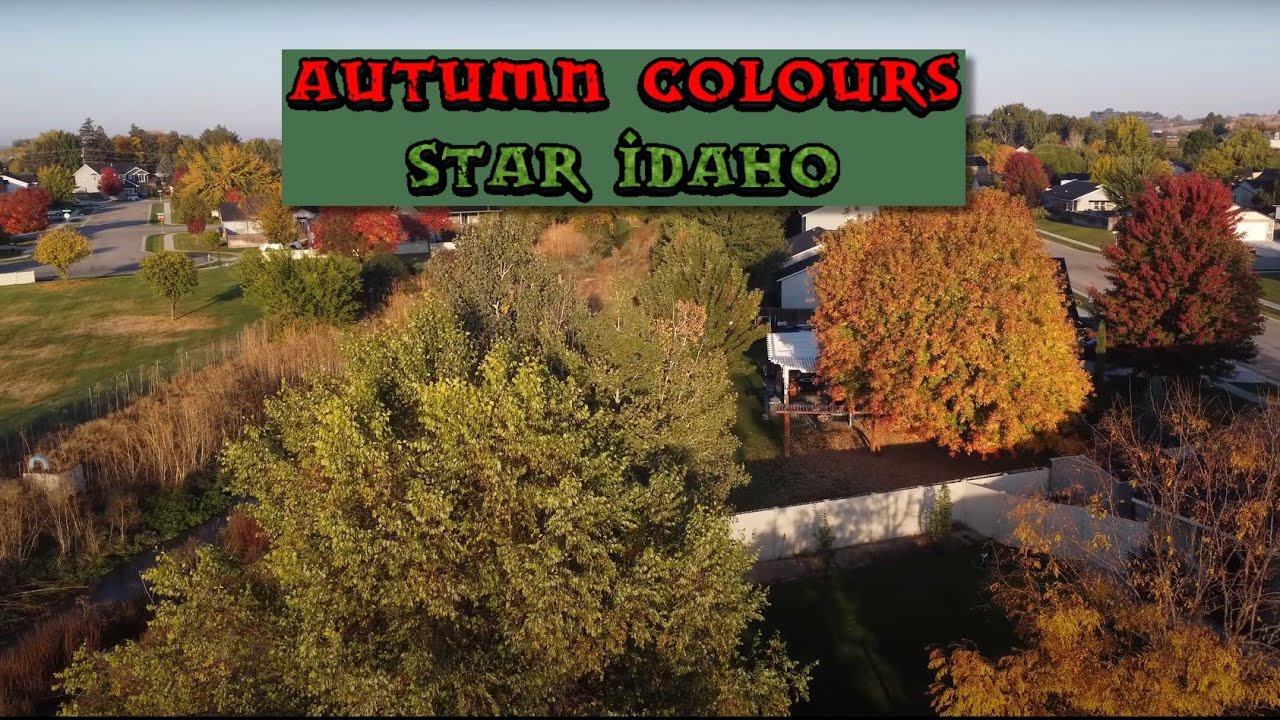 Autumn colours- Mid late October 2024