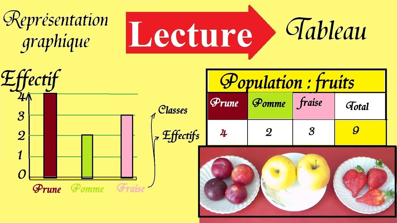 Diagramme en barres 6&egrave;me 5&egrave;me | Lecture de graphiques en Statistique