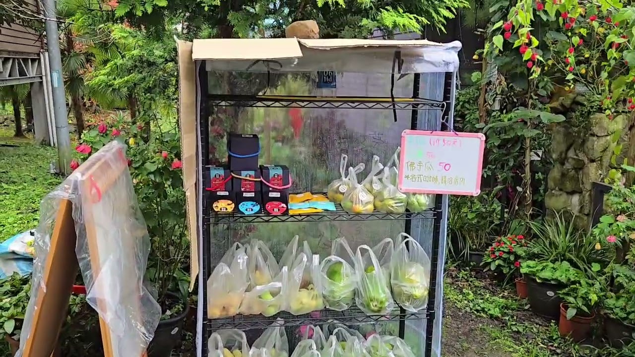 # 台版合掌村（得恩亞納原住民部落）｜多林車站（阿里山森林鐵路的一座祕境小站）｜特富野部落｜8. 威廉的趣味人生（三）登山健行20251220