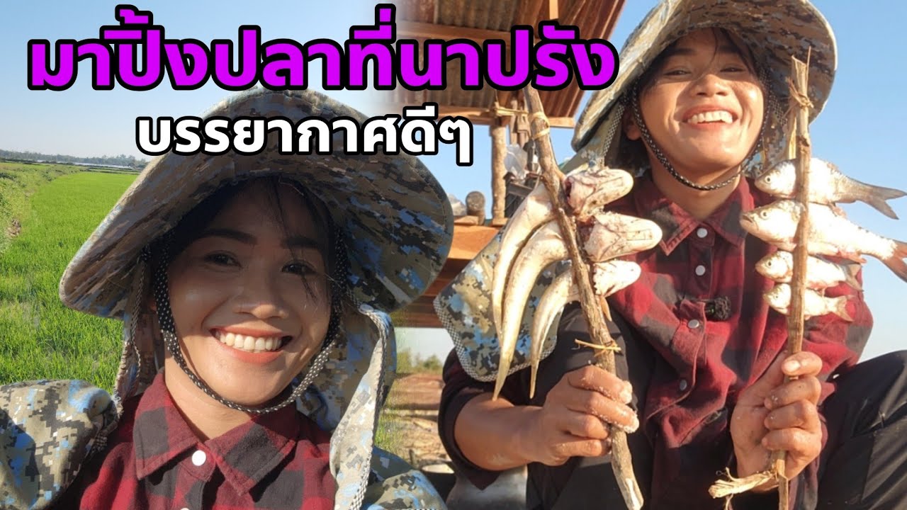 ไม่มานาน ข้าวจนโต เขียวสวยเต็มทุ่งนา มีคนให้ปลา ปิ้งกินกับหมาอร่อยมาก