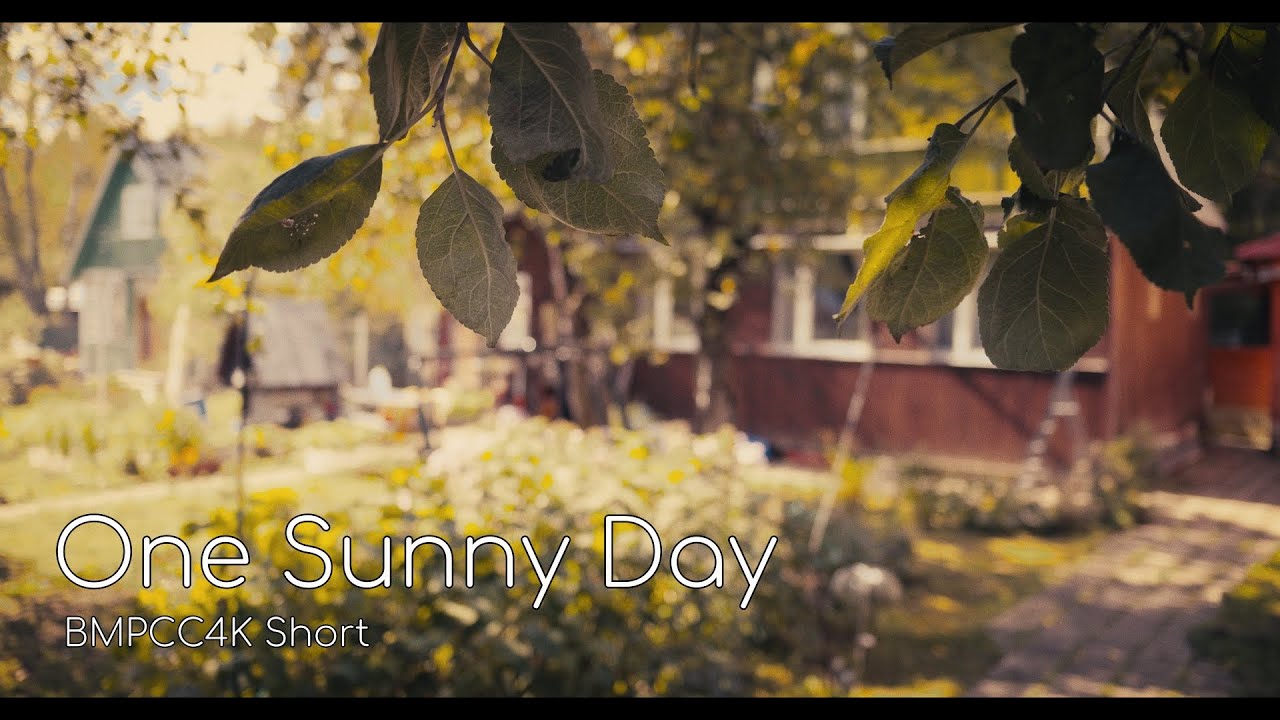 One Sunny Day | BMPCC4K Footage