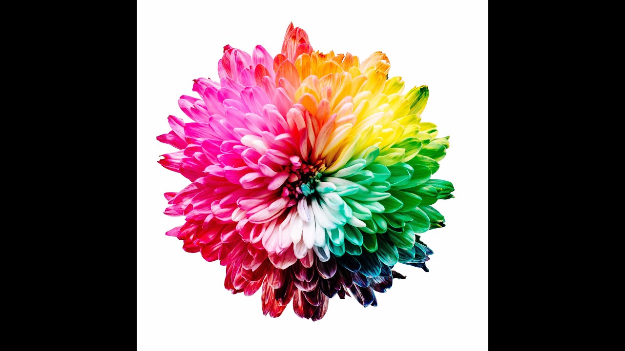 WiWeTeR@Home - Zeg het met bloemen