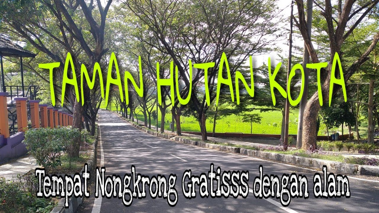 TAMAN HUTAN KOTA cigembor 