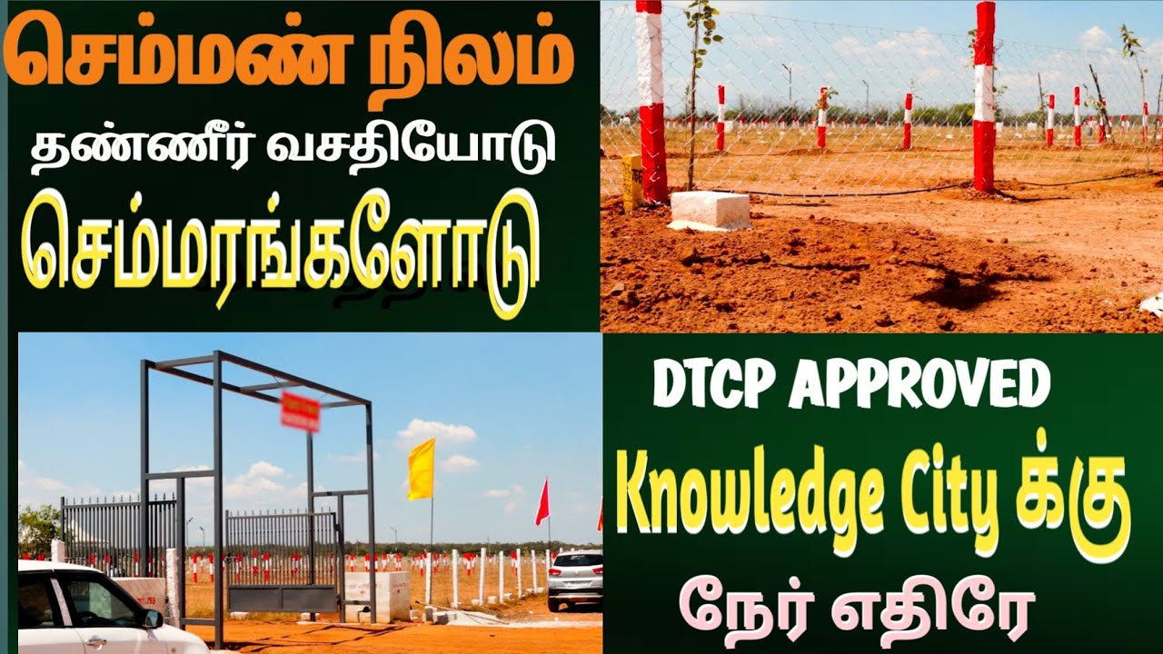 செம்மண் நிலம் | தண்ணீர் வசதியோடு | செம்மரங்களோடு #plotforsale #redsand #yt  #ytviral #tamil