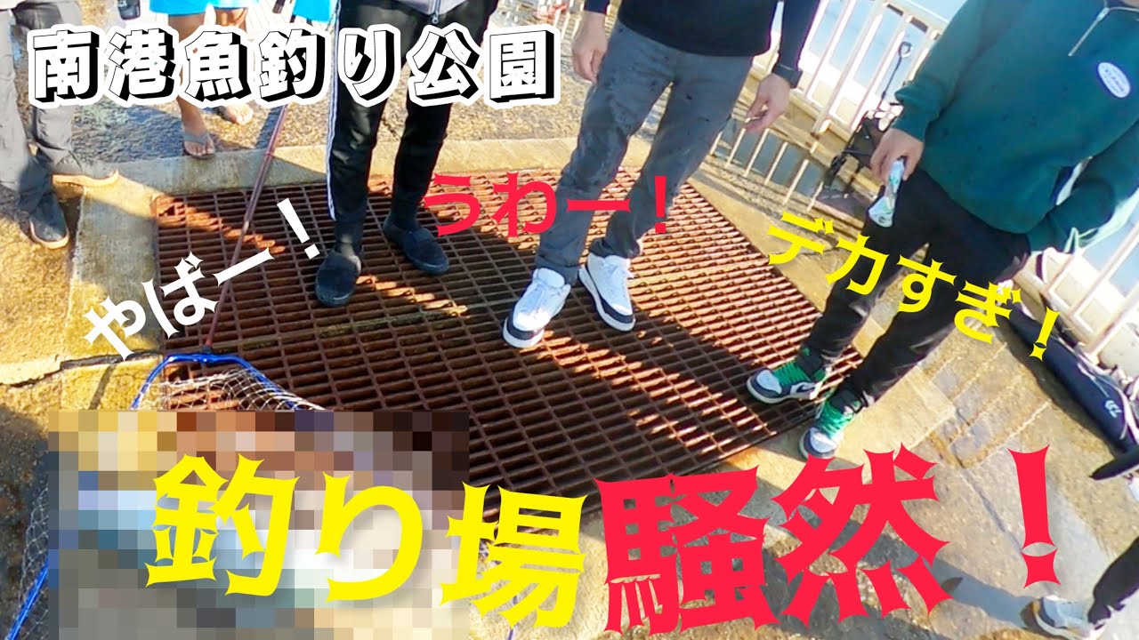 無料の海釣り公園で、この秋1番の大物釣れて現場驚愕！　　南港海釣り園　　　　貝塚人工島　武庫川一文字　#ショアジギング