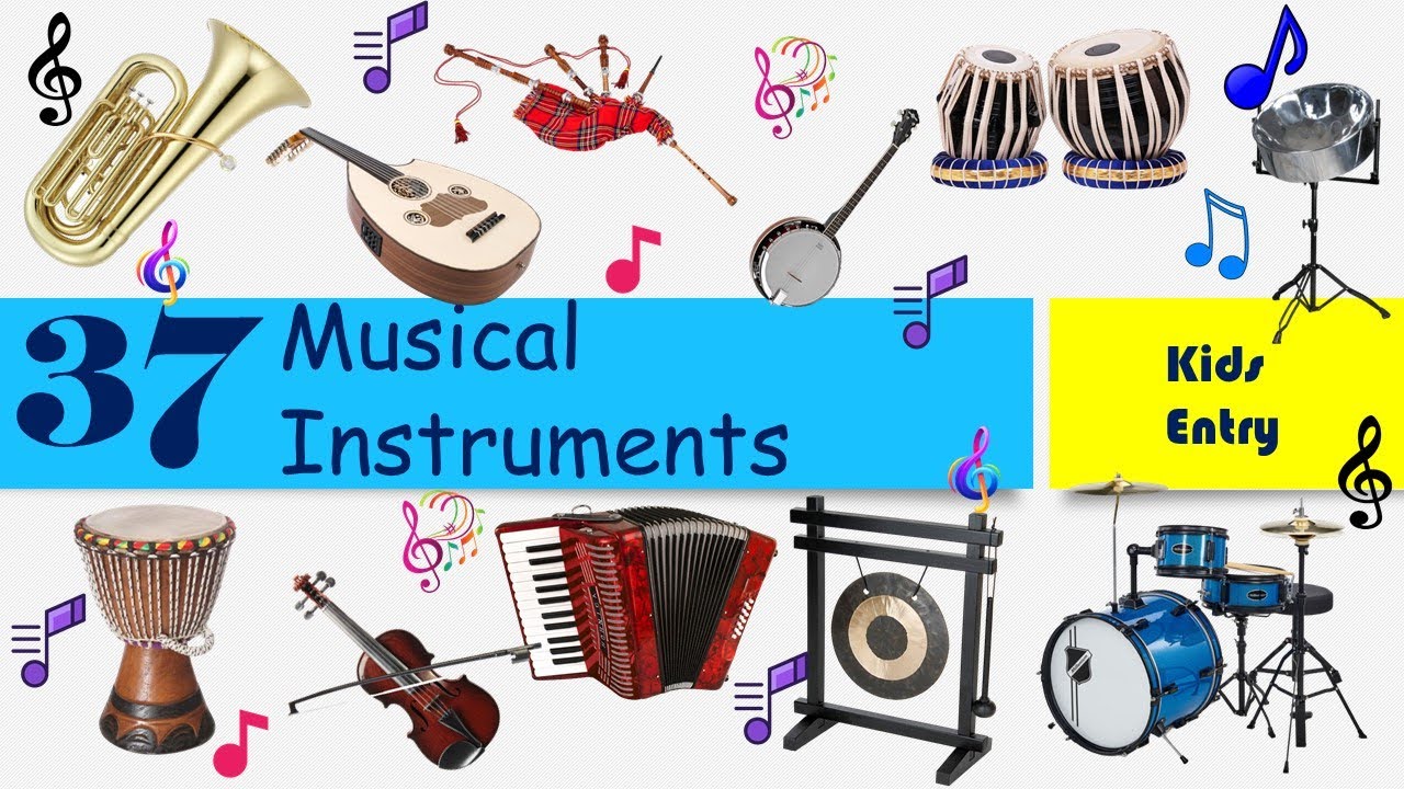 World Musical Instruments |Musical instruments with pictures | 37 types of musical instruments