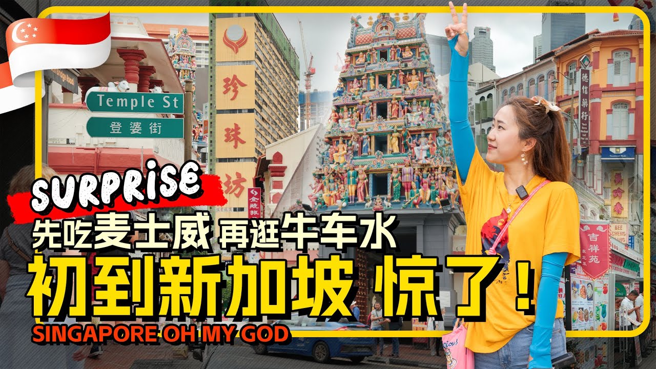 🇸🇬新加坡初体验 国家美术馆免费存包 牛车水Citywalk 麦士威熟食中心 佛牙寺 不踩雷 物价竟然很友好？