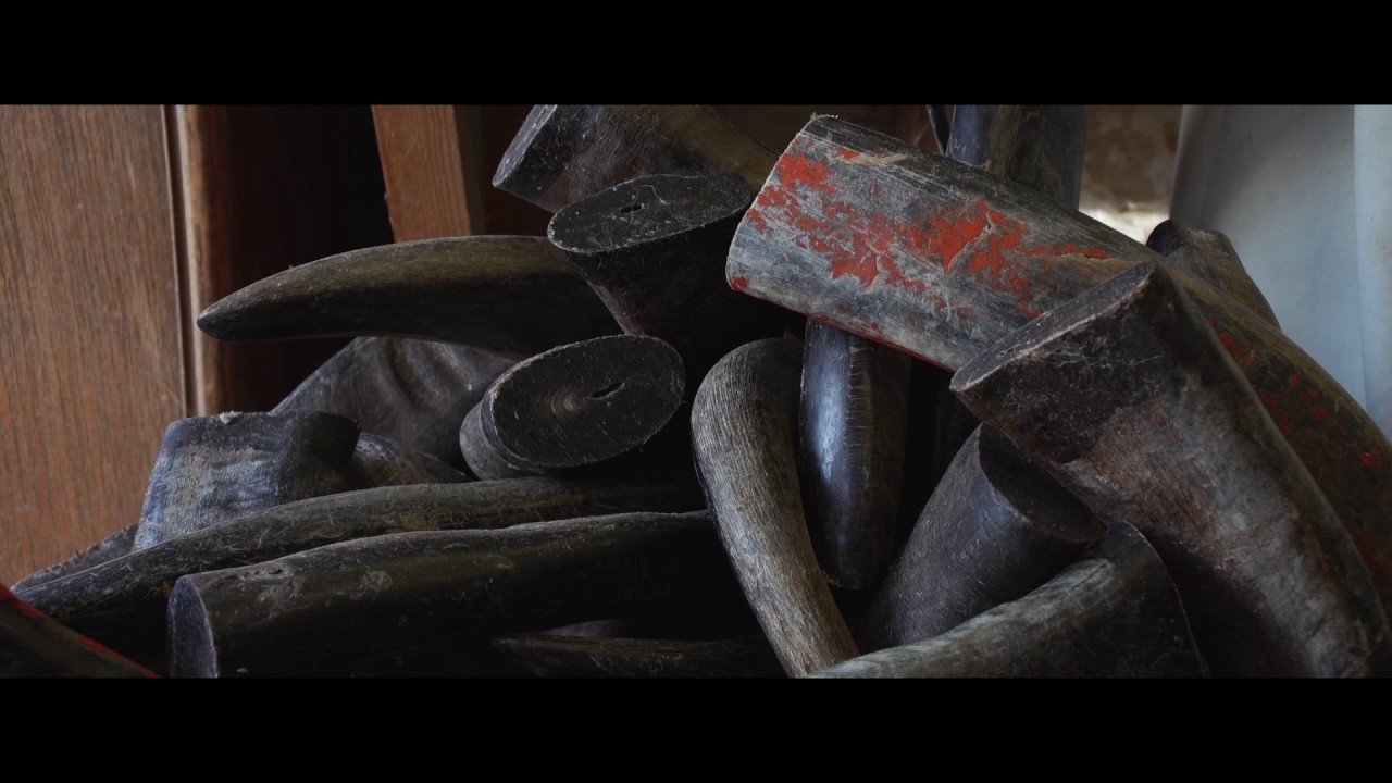 Bickerstaffe Bows Documentary