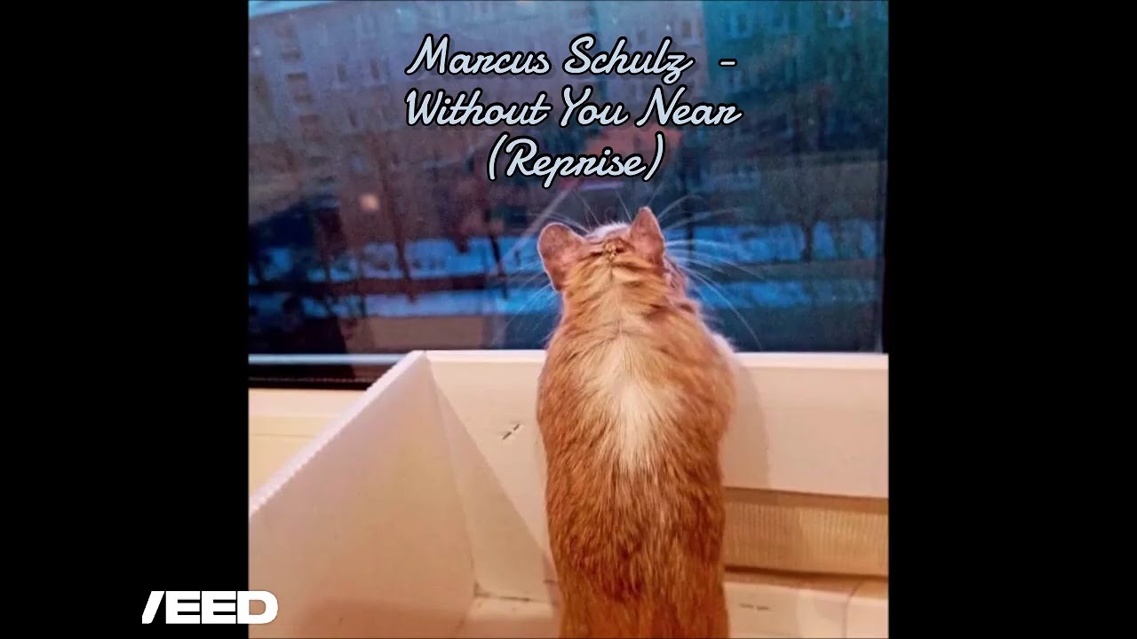 Marcus Schulz  - Without You Near (Reprise)