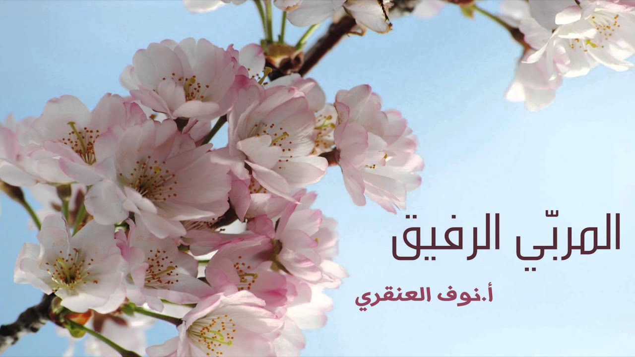المربي الرفيق | أ.نوف العنقري