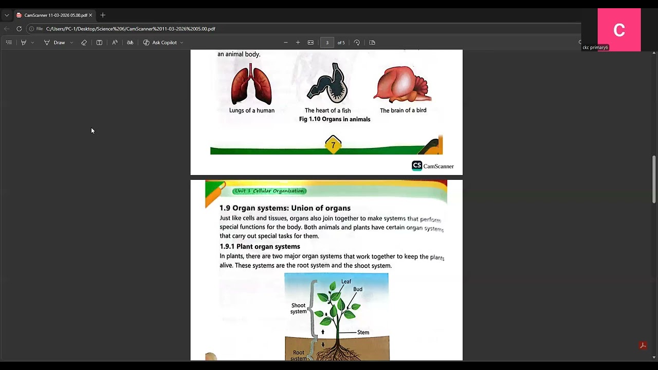Class 6 Science Lecture 1
