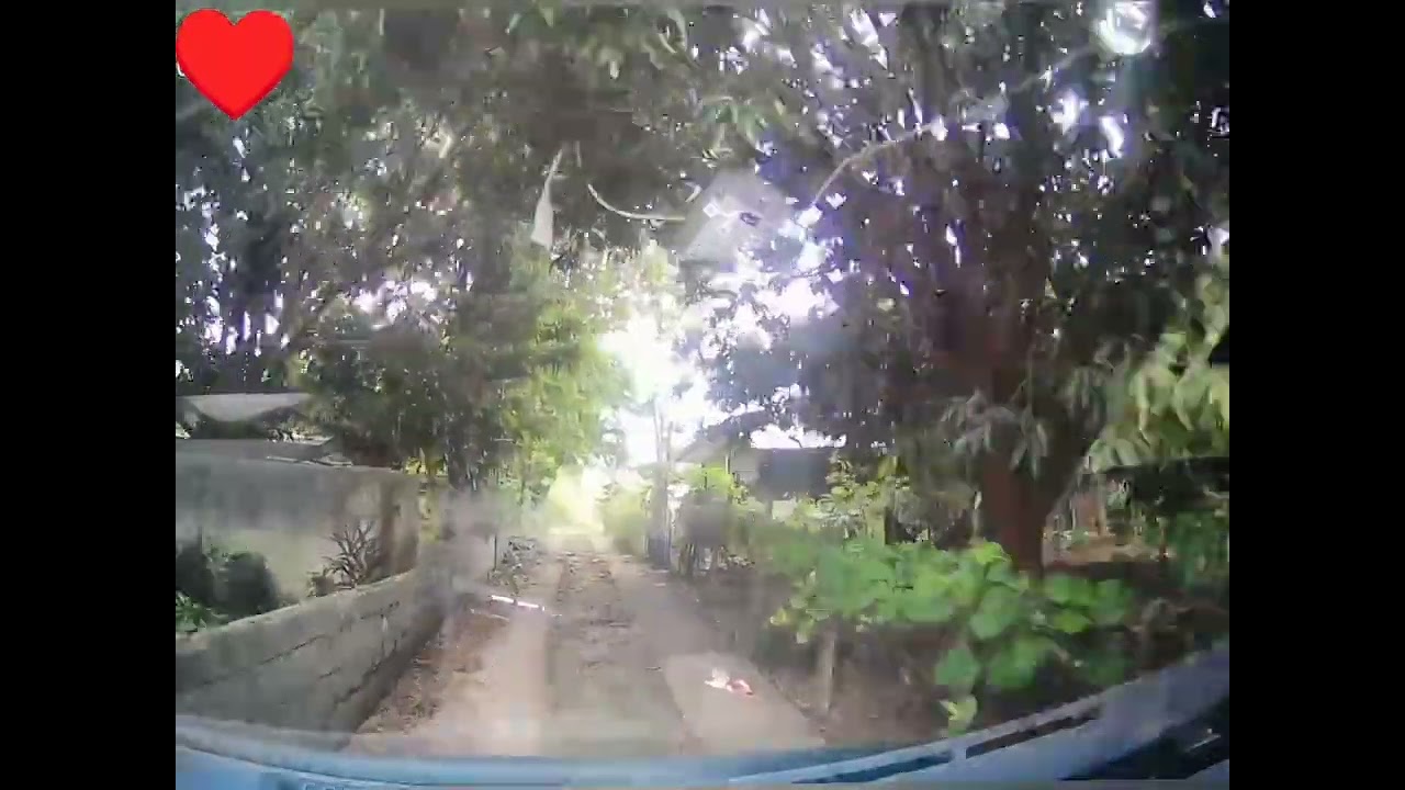 short vlog while driving
