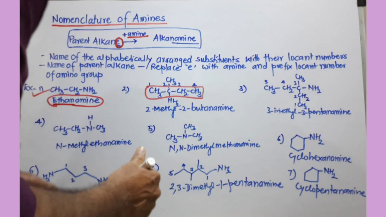 Nomenclature of aliphatic and aromatic amines