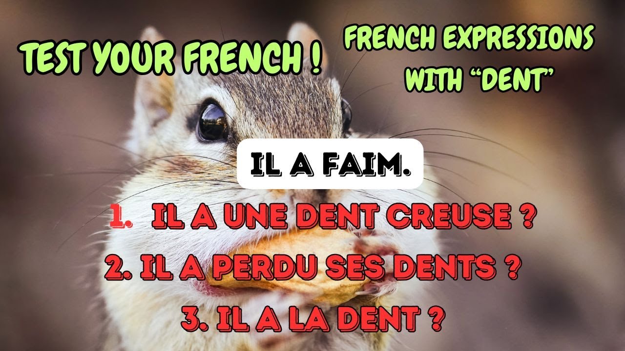 French Quiz : Picking the right Expressions with "DENT"