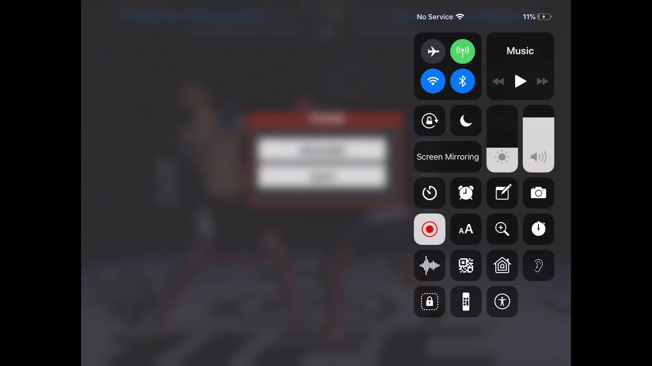 UFC iPad game