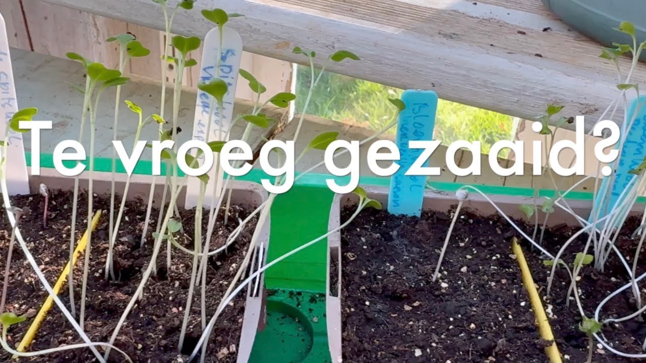 Ini's Moestuin 