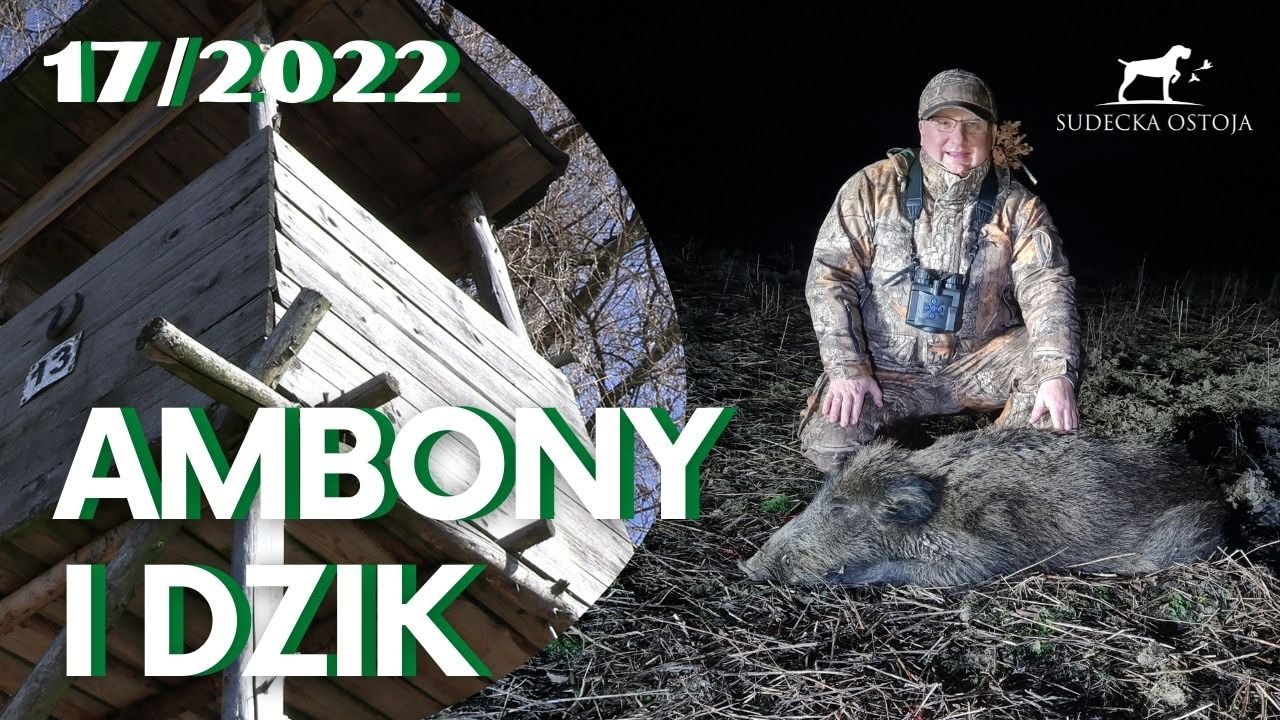 SUDECKA OSTOJA 17/2022 Ambony i polowanie na dziki z Mariuszem