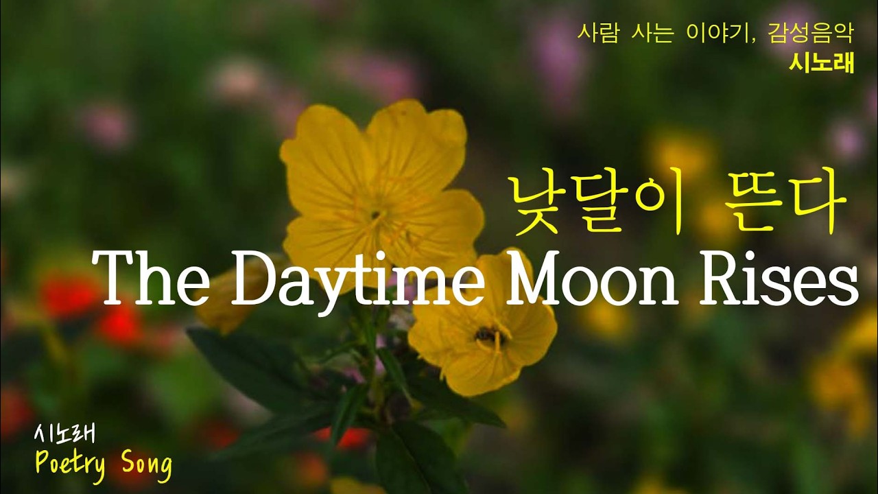낮달이 뜬다 | 감성시노래(최미경 시)#시노래(Poetry Songs)#감성음악#시와음악#한국 시노래 (Korean Poetry Songs)