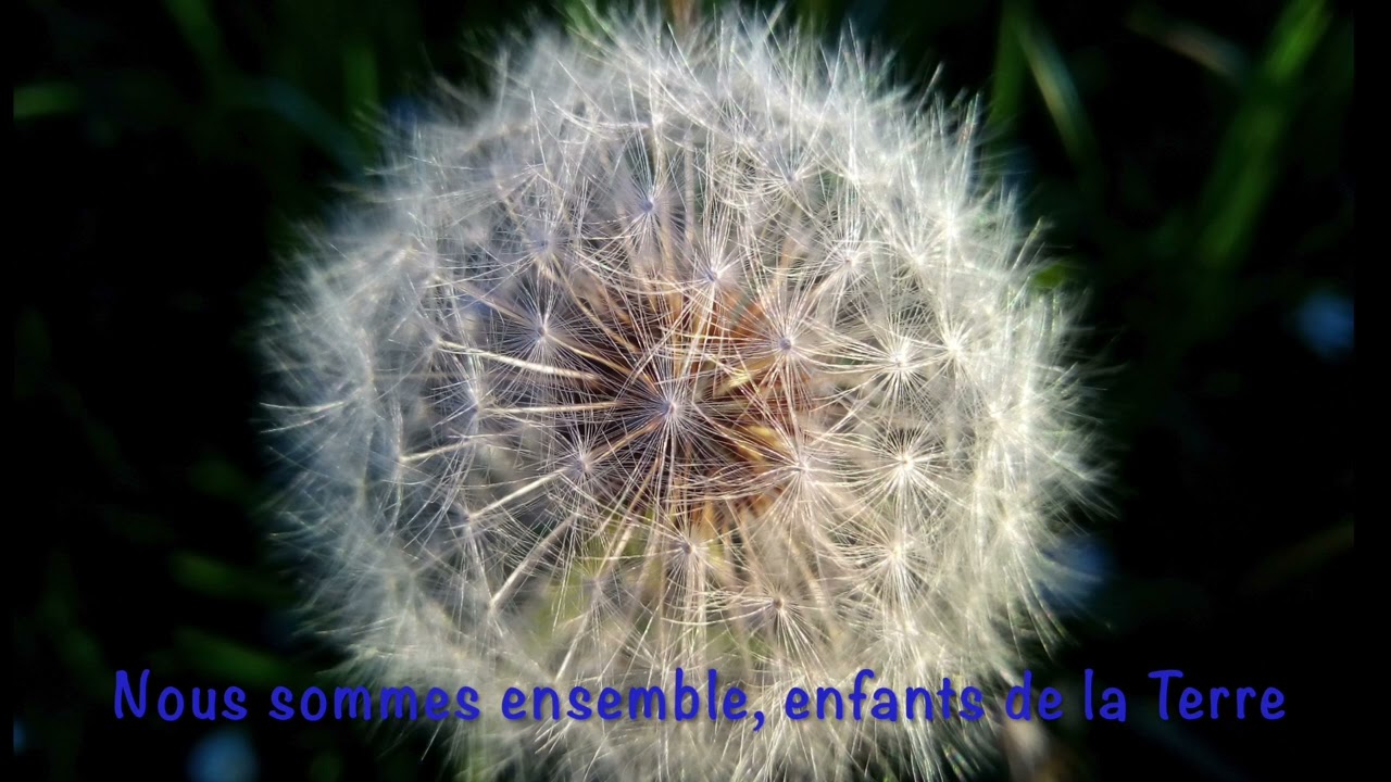 Relaxation profonde, 