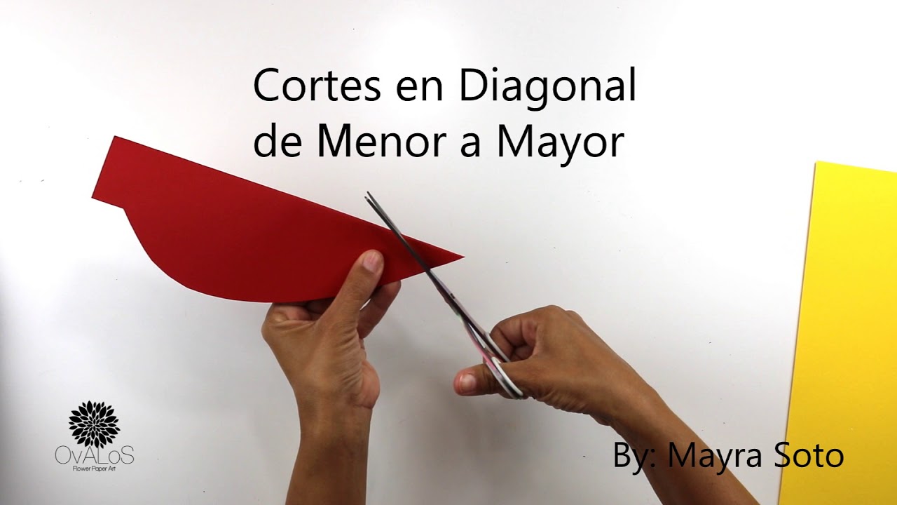 Tutorial Hojas de Papel | 3 Tipos de Hojas | Mayra Soto | Ovalos Flower Paper Art