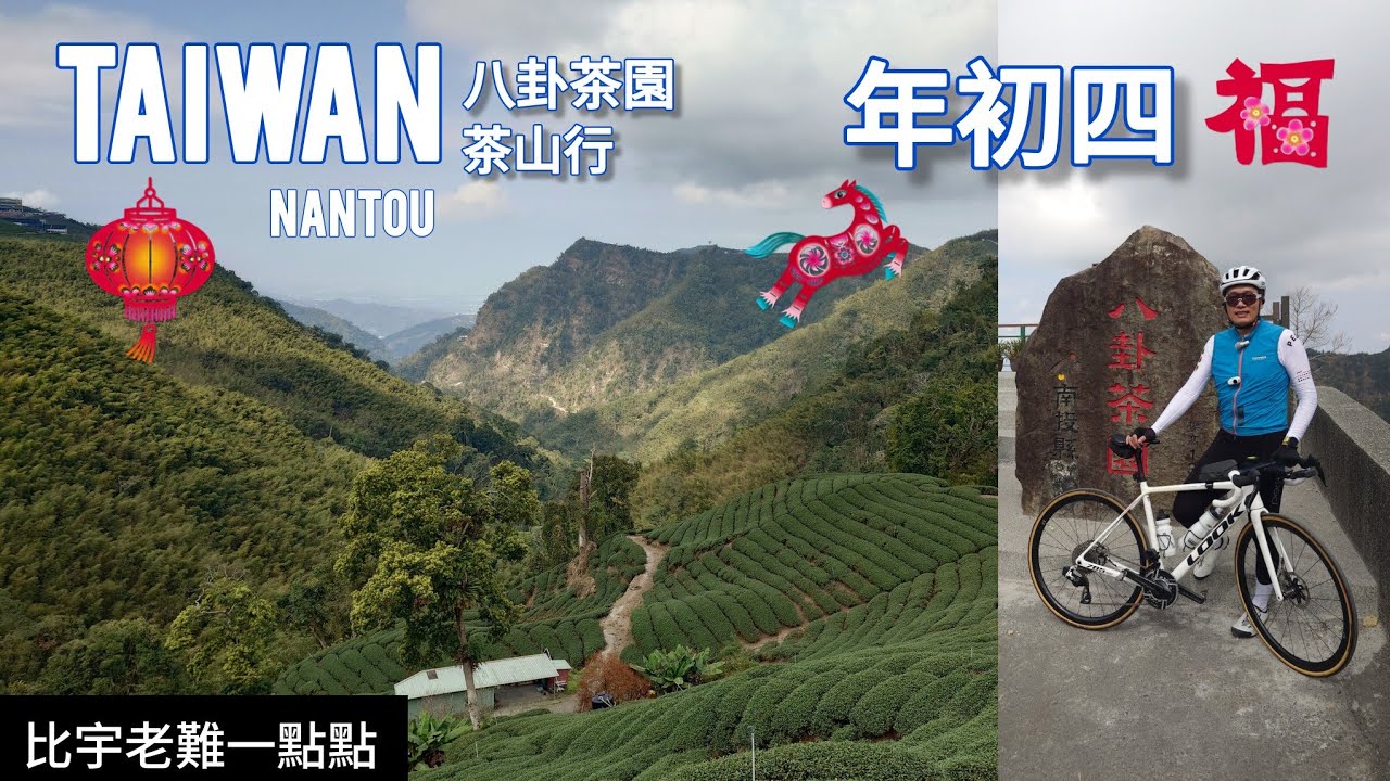 619 比宇老難的路線 | 解鎖新路線 投49 | 八卦茶園 