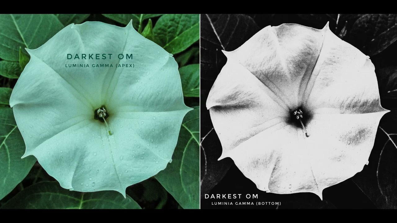 DARKEST OM - 