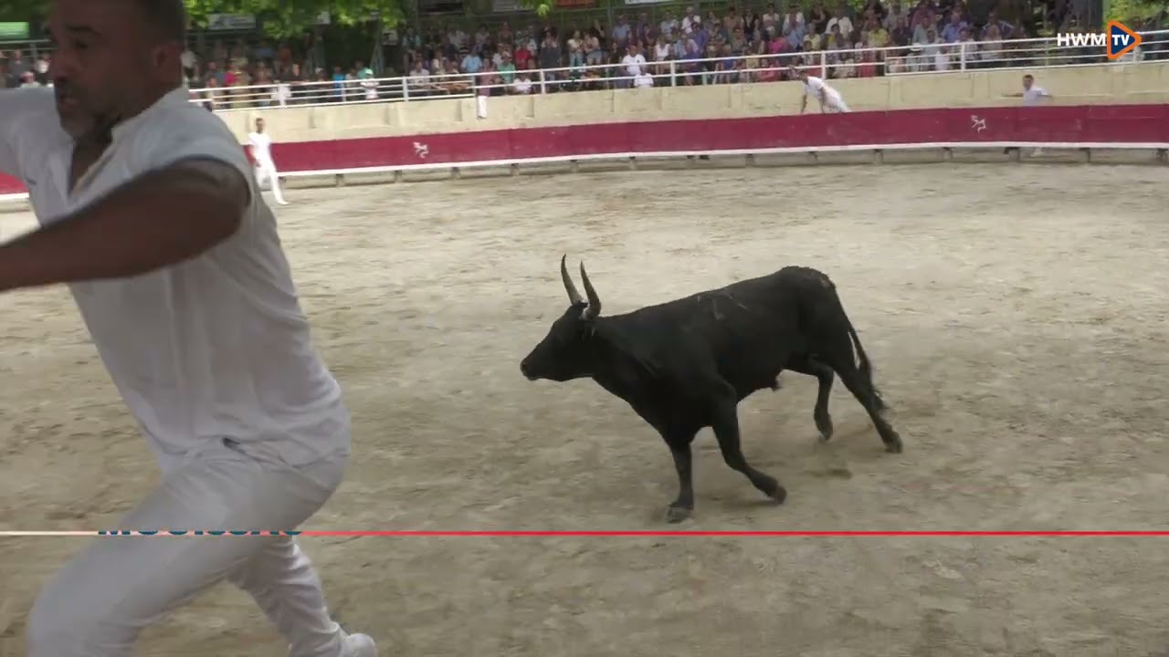 Trophée Taurin Rhôny Vistre Vidourle - Arènes de Codognan