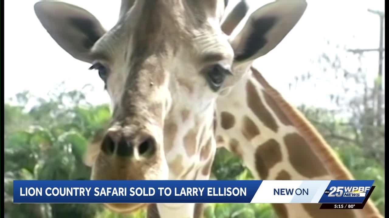 Billionaire Larry Ellison purchases Lion Country Safari