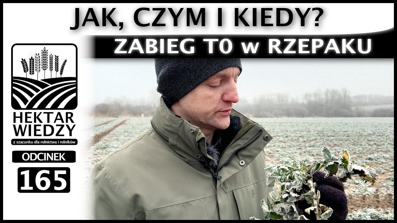 …A ZBOŻE ZALEGA | ZABIEG T0 W RZEPAKU, CZYLI JAK, CZYM I KIEDY? | ODCINEK 165