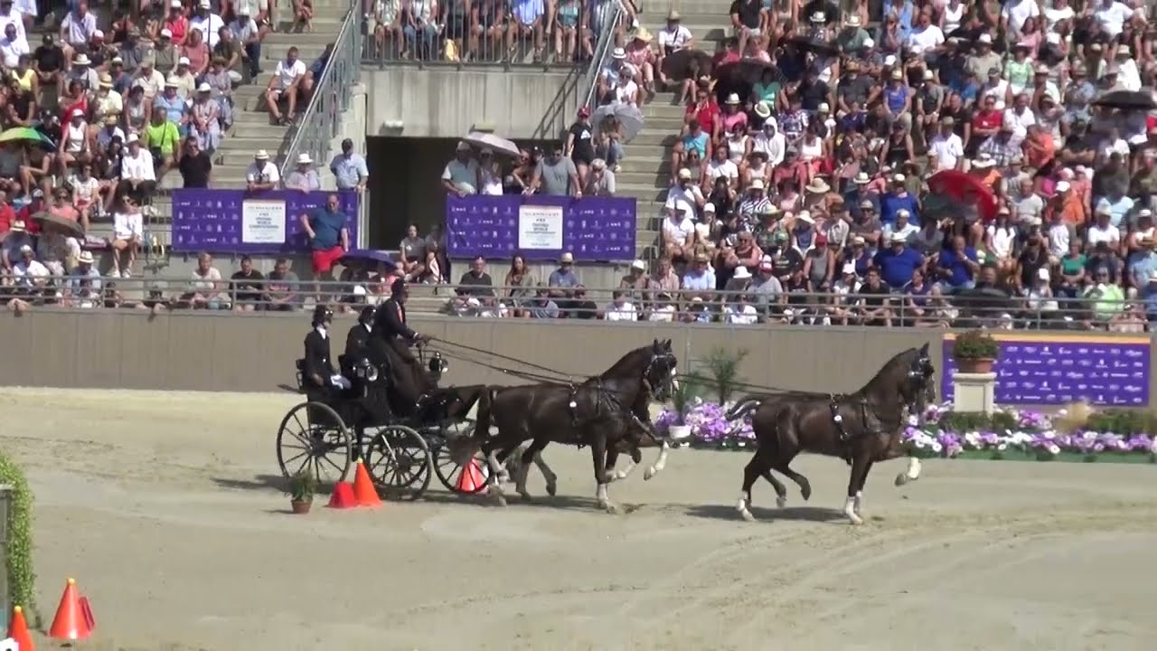 Koos DE RONDE (NED) FEI CH-M-AH4, Szilvásvárad (Hungary), cones, 08.09.2024