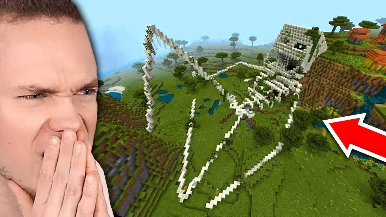 DIESE MONSTER ERSCHIENEN als ich MEINE WELT BETRAT...(Minecraft)