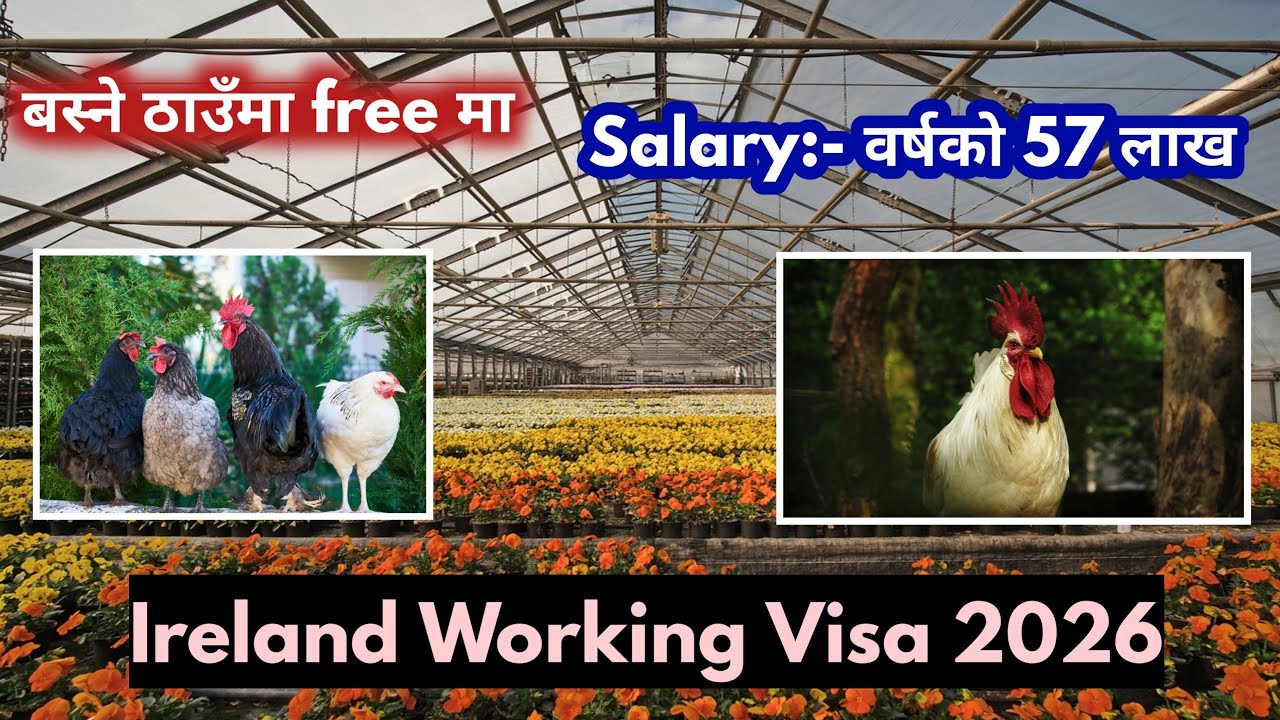 ireland working visa for nepali | how to apply ireland work visa from nepal | ireland kasari jane