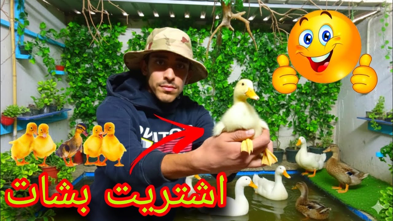 اشتريت بشات🦆