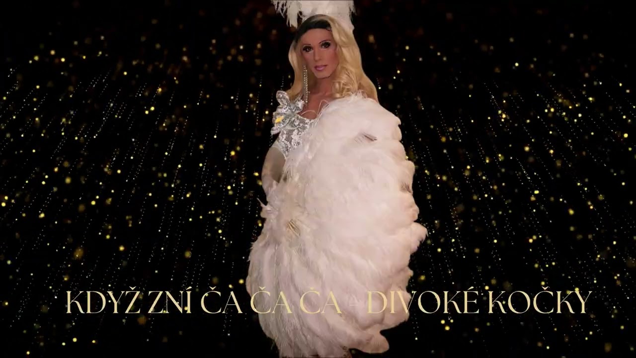 Když zní ča ča ča - Divoké kočky
