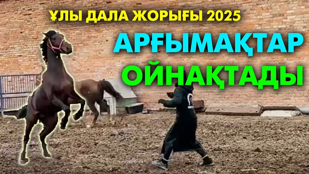 Тұлпарларымыз Торғайға келді | 