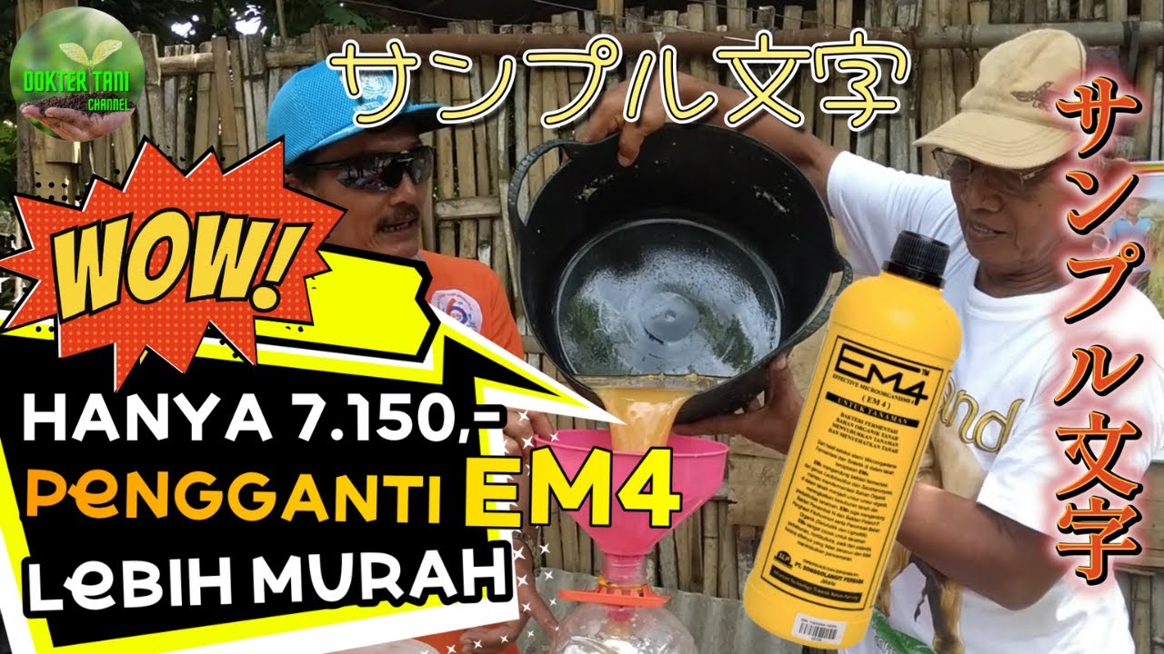 CARA membuat EM4 sendiri dirumah #em4