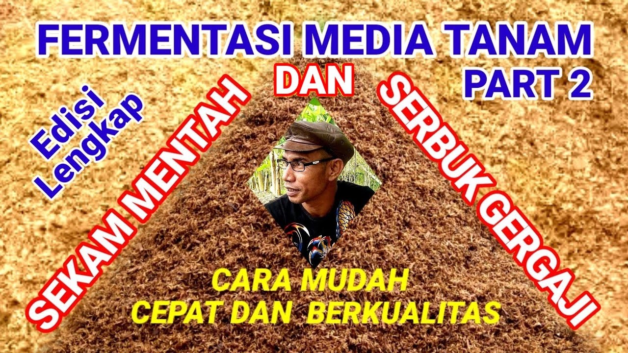 Cara Fermentasi Media Tanam Sekam Mentah Dan Serbuk Gergaji Agar Aman Serta Bebas Dari Jamur