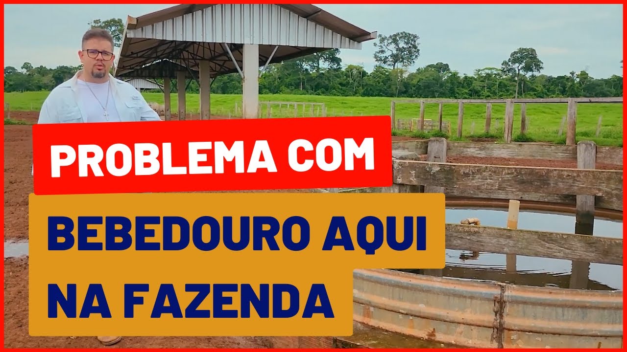BEBEDOURO PARA BOVINOS DE CORTE problemático