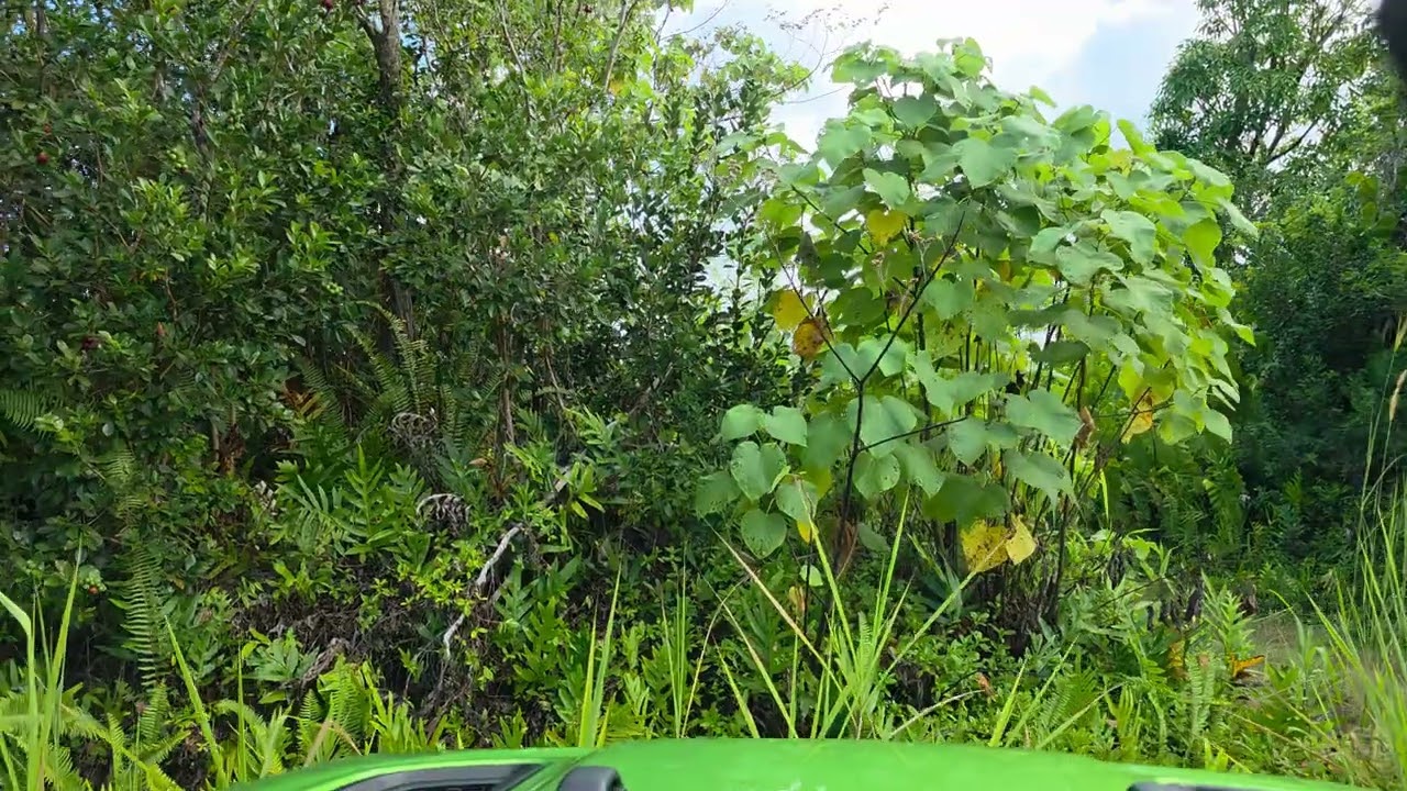 Pohoiki Road cut off by lava waiting to be redone.  August 15, 2025