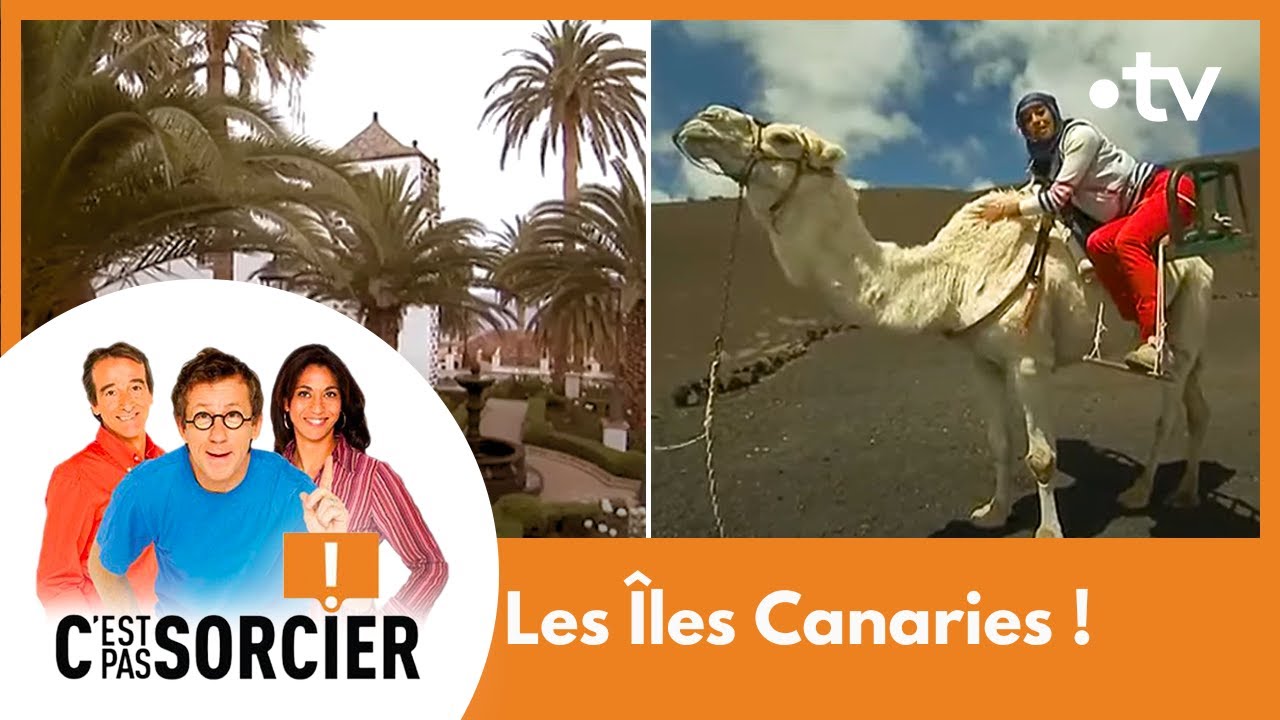 Les Îles Canaries ! - C'est pas sorcier [Intégrale]