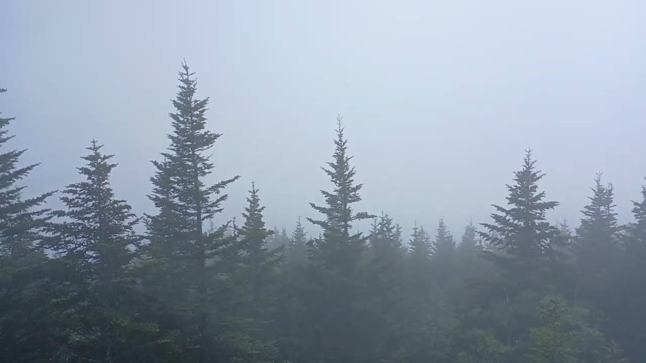 Smokey Mountains in Summer @Clingman's dome parking area 2025